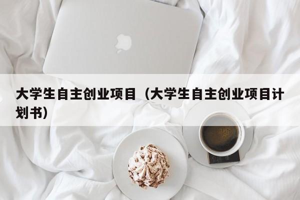 大学生自主创业项目（大学生自主创业项目计划书）